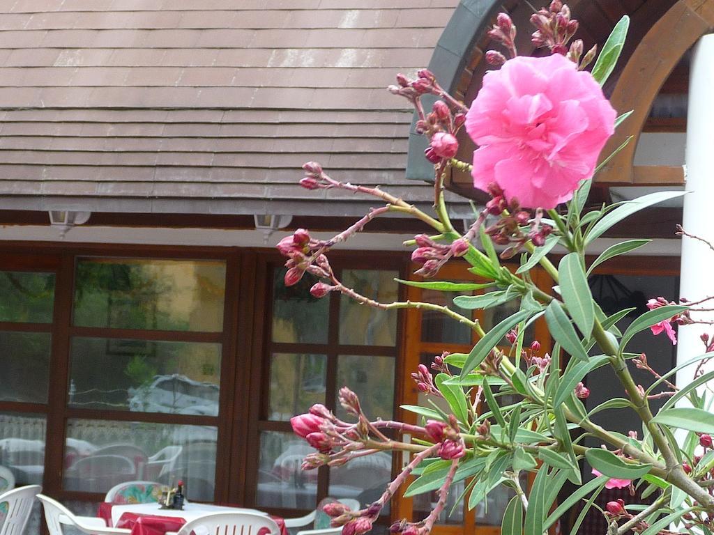 Oleander B&B Siofok Exterior photo